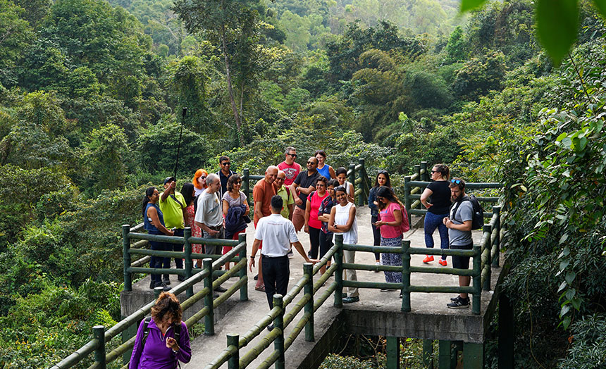 What to Do if Your Cruise is Delayed? A Survival Guide for Leona Cruise Halong Guests